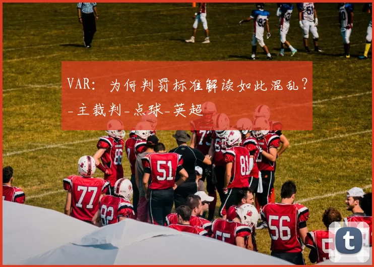 VAR：为何判罚标准解读如此混乱？_主裁判_点球_英超