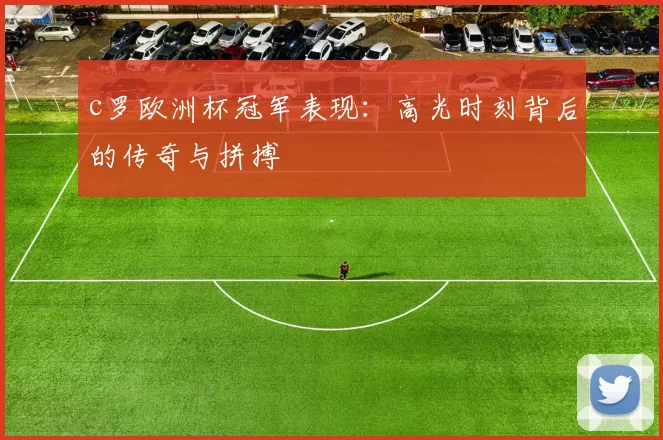 c罗欧洲杯冠军表现：高光时刻背后的传奇与拼搏